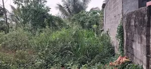 Land For Sale in Homagama -Diyagama (SSPL-405)