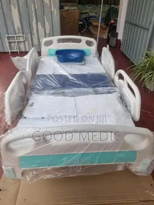 Five Function Electric Beds with Sanitory