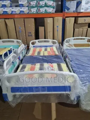 Four Function Manual Beds with Sanitory