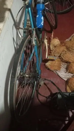 Japan Bicycle