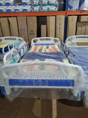 Four Function Manual Beds with Sanitory