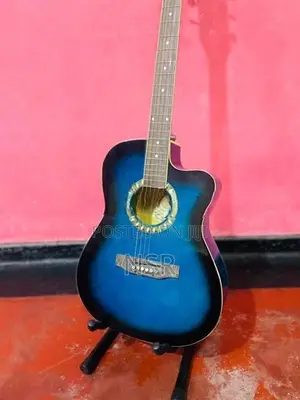 Focus Semi Accoustics Guitar