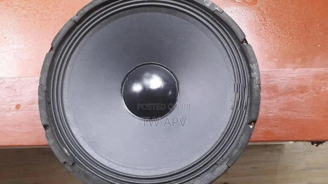 Piramid Speaker 15"