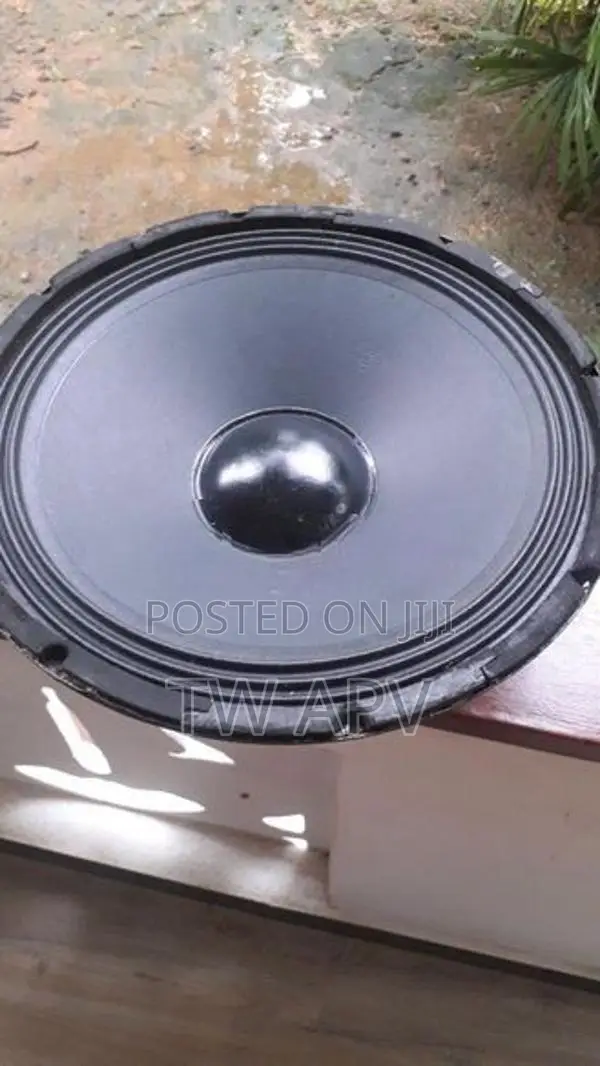 Piramid Speaker 15"