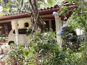House with Tea Land Kalupahana