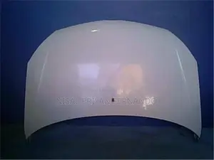 Toyota Platz Bonnet