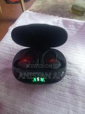 SP16 Earbuds