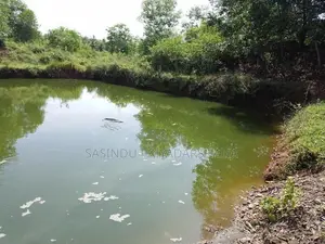 අක්කර 40ක් වගාවට ඉතාමත් සුදුසු ඉඩමක් වැල්ලවාය