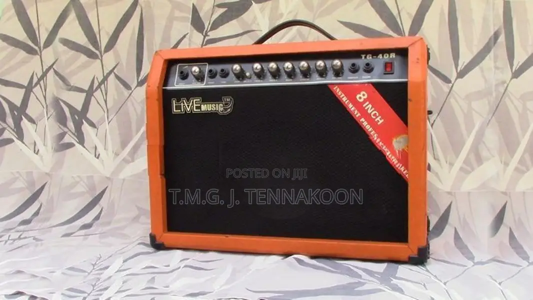 Live Music Back Amp