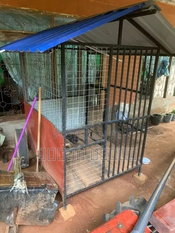 බලු කූඩුවක්