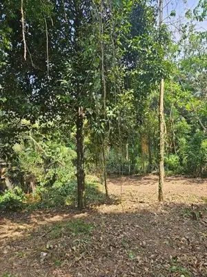ඉංගිරිය – හඳපාන්ගොඩින් පර්චස් 24ක අගනා නේවාසික ඉඩම