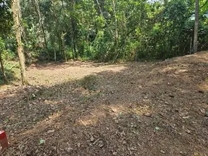 ඉංගිරිය – හඳපාන්ගොඩින් පර්චස් 24ක අගනා නේවාසික ඉඩම