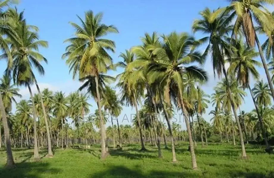 Land for Sale in Kurunegala