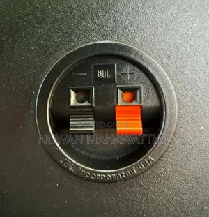 JBL TLX18 Speakers