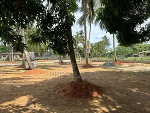 අනුරාධපුර සාලියමාවතෙන් නේවාසික බිම්කොටසක් විකිණීමට