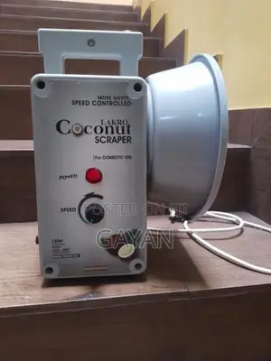 Electric Coconut Scraper