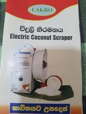 Electric Coconut Scraper