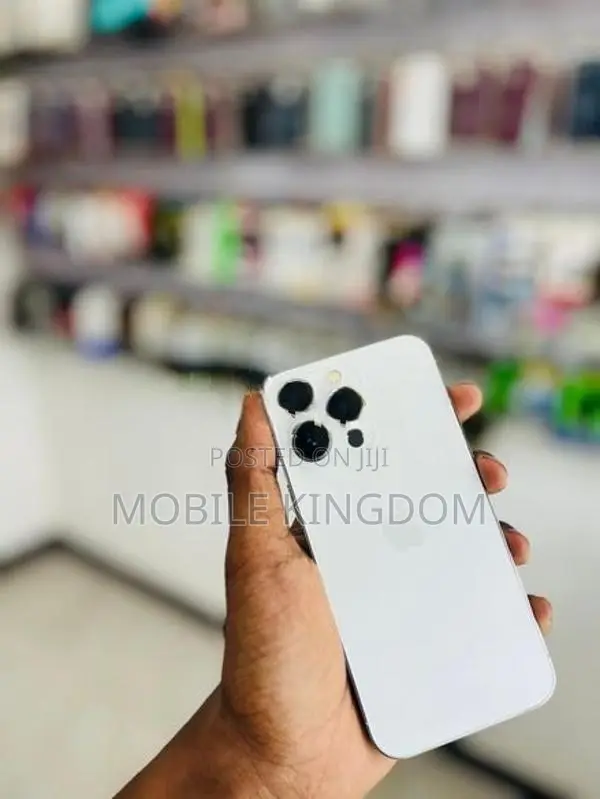 Apple iPhone 13 Pro 256GB White Fullset (Used)
