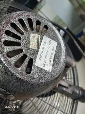 Pacific Stand Fan