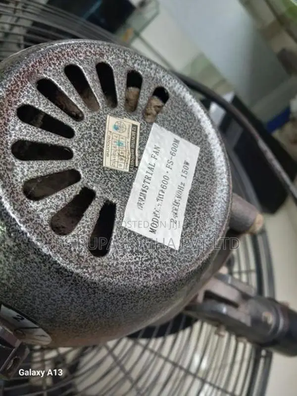 Pacific Stand Fan