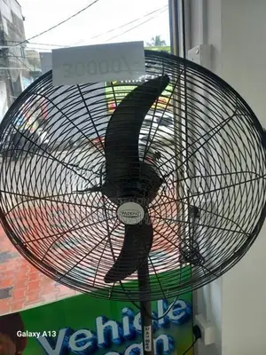 Pacific Stand Fan