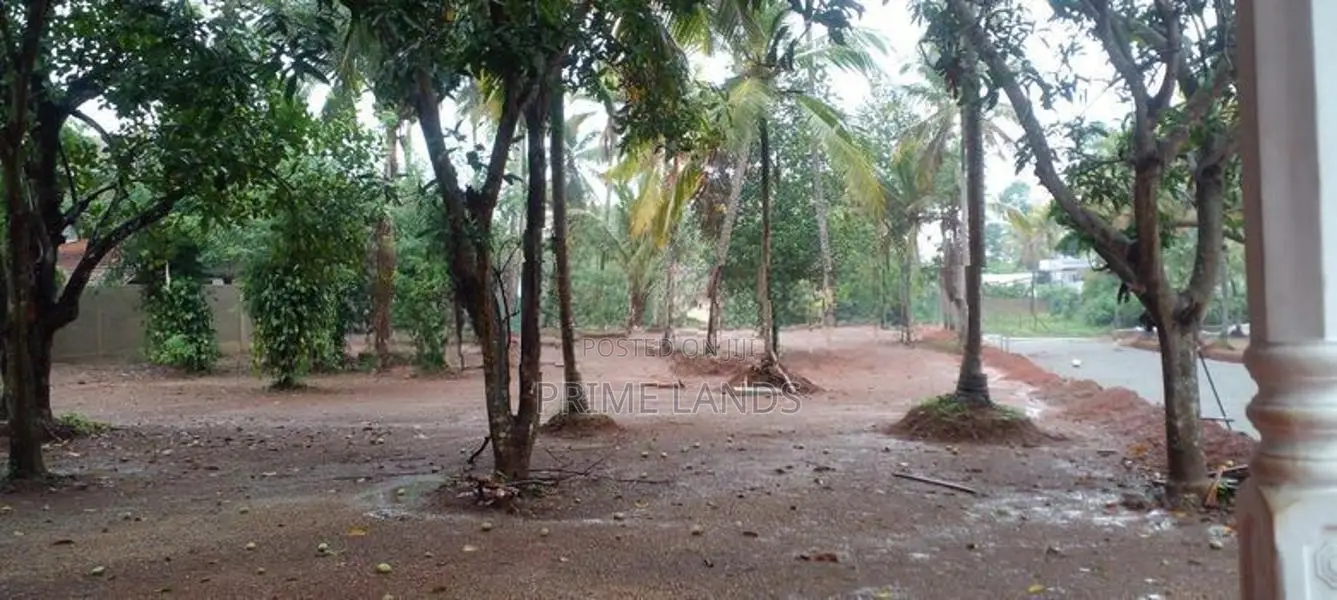 Land for Sale in Negombo Dankotuwa
