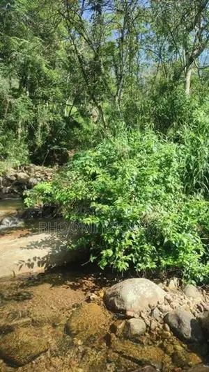 Land for sale in Haputale