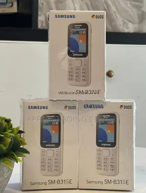 Samsung B315E (Brand New)