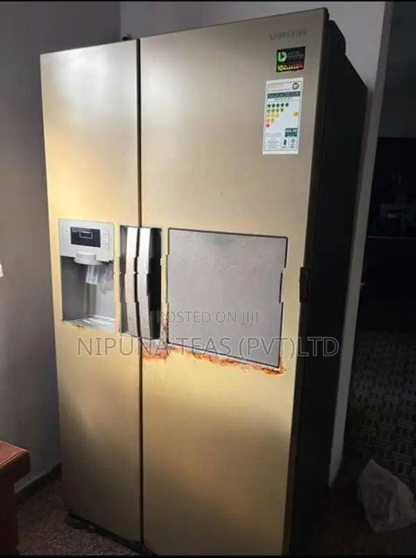 Samsung Side by Fridge