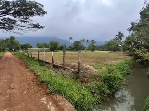 ලගදීම දඹුල්ල නගරයට නුදුරින් සින්නක්කර බිම්කොටස් විකිණීමට