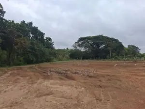 ලගදීම දඹුල්ල නගරයට නුදුරින් සින්නක්කර බිම්කොටස් විකිණීමට