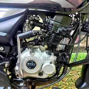 Bajaj Platina Es 100 2019