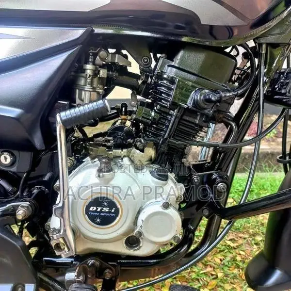 Bajaj Platina Es 100 2019