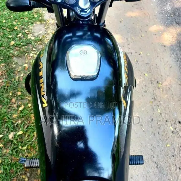 Bajaj Platina Es 100 2019