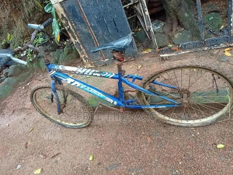 Bicycle