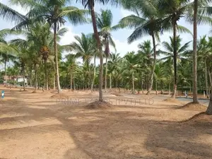 දෙල්ගොඩ ඉඩමක් විකිණීමට