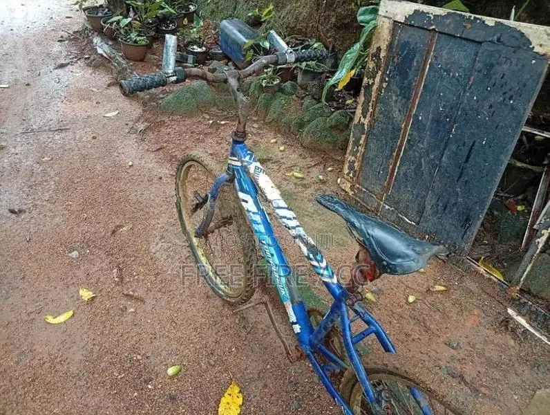 Bicycle