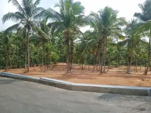 දෙල්ගොඩ වෙල්‍යායකට මායිම්ව ඉඩමක් විකිණීමට