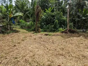 Land for Sale in Kadawatha