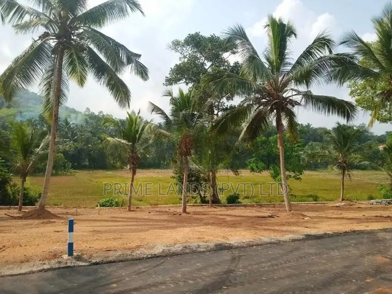 දෙල්ගොඩ වෙල්‍යායකට මායිම්ව ඉඩමක් විකිණීමට