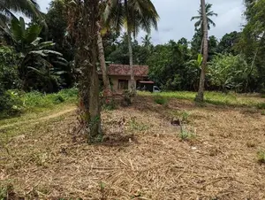 Land for Sale in Kadawatha