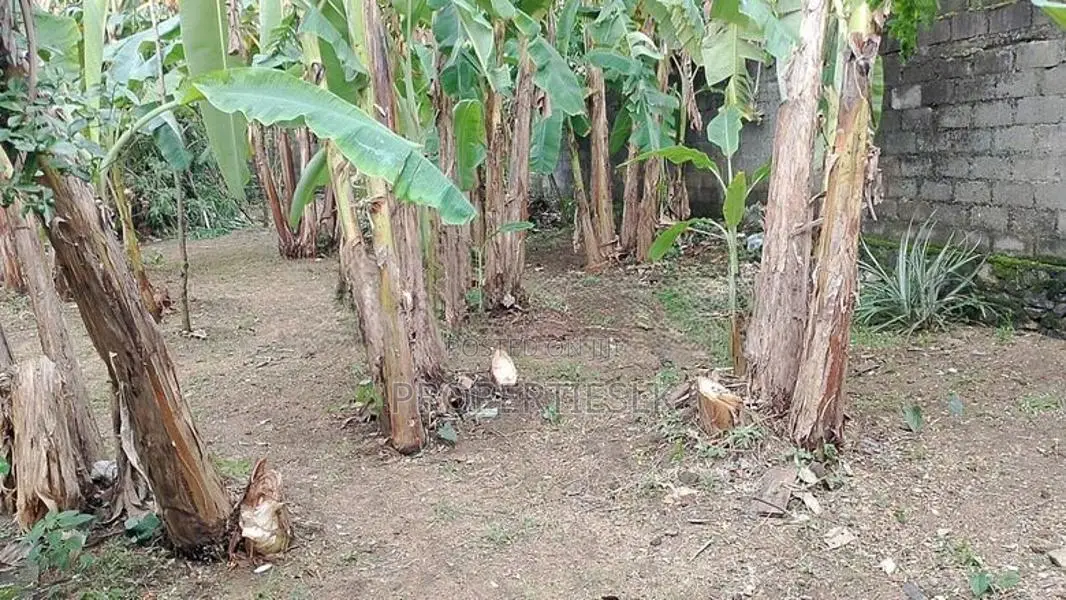 Kalaniya Prime Location 13.75 Perches Land for Sale