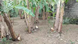 Kalaniya Prime Location 13.75 Perches Land for Sale