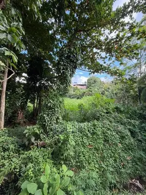 Land for Sale Thalawathugoda Residential