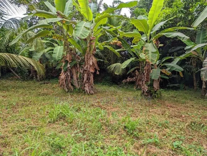 Land for sale in Nittambuwa