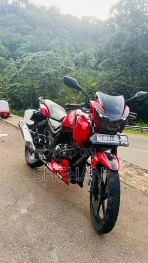 TVS Apache RTR 160 4V 2019