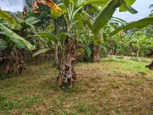 Land for sale in Nittambuwa