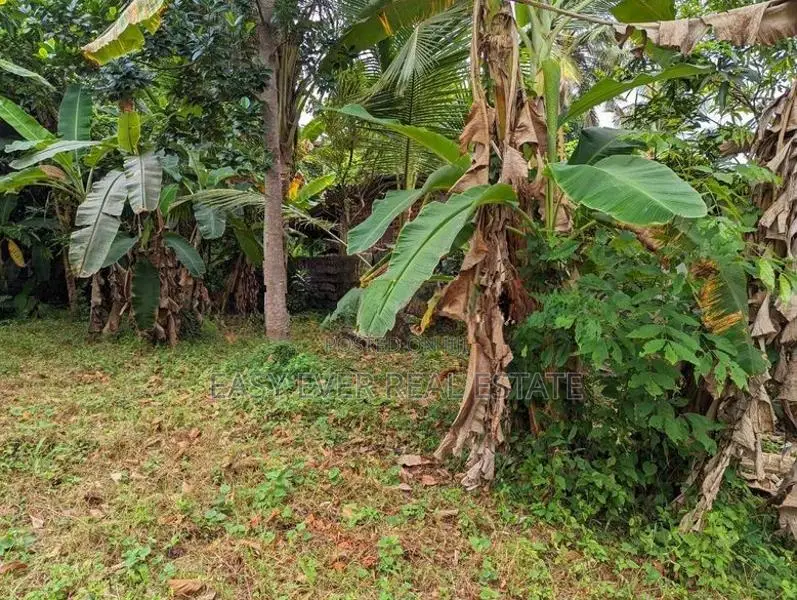 Land for sale in Nittambuwa