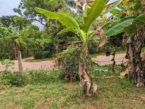 Land for sale in Nittambuwa