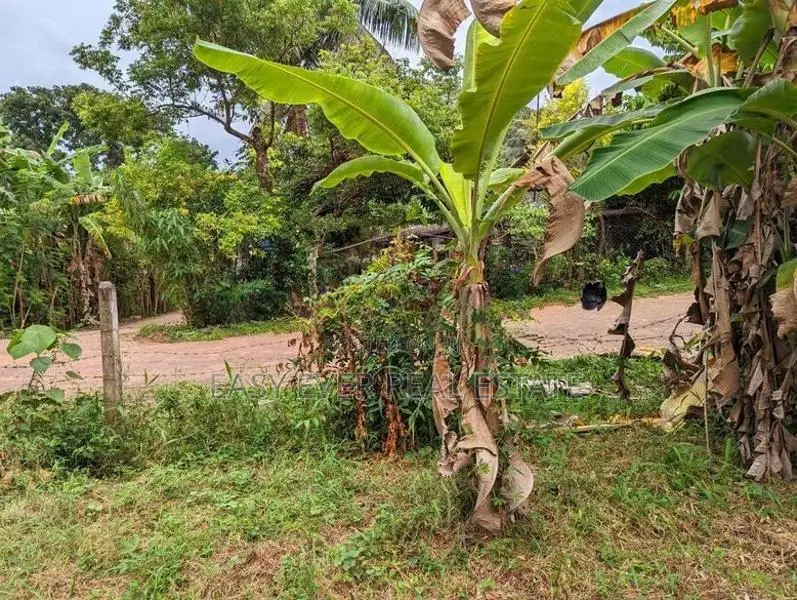 Land for sale in Nittambuwa